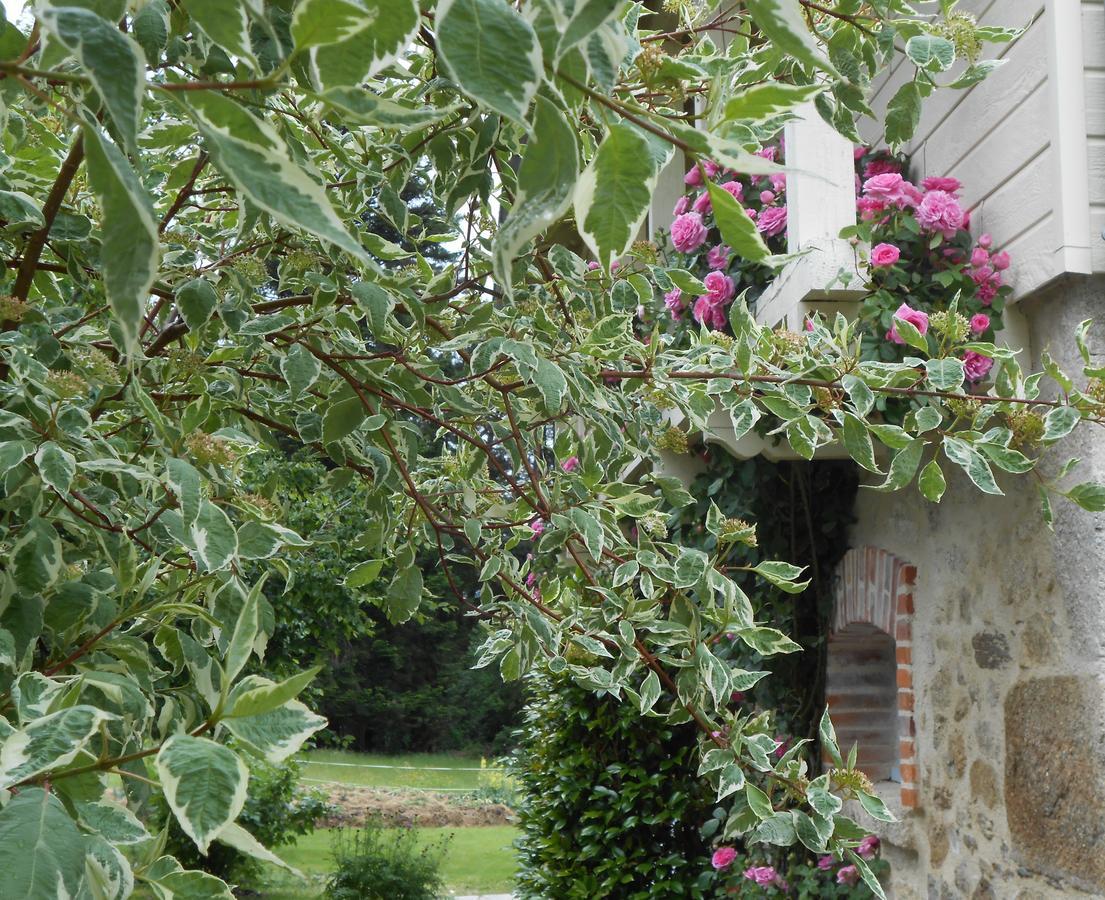 Les Maisons De Concasty Boisset  Esterno foto